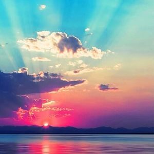 Meet your Posher, Shadae